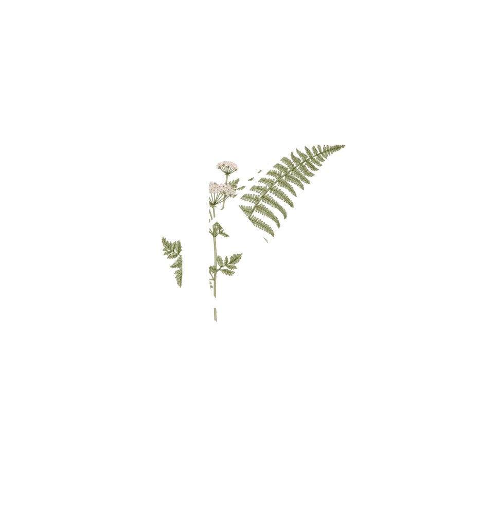 Kontakt
